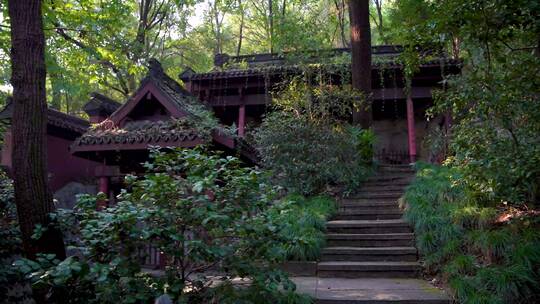 杭州玉皇山天龙寺造像保护单位4K实拍视频