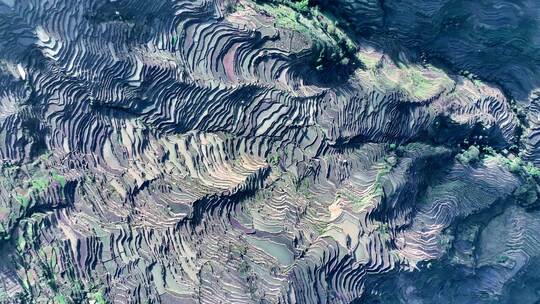 红河撒玛坝梯田航拍