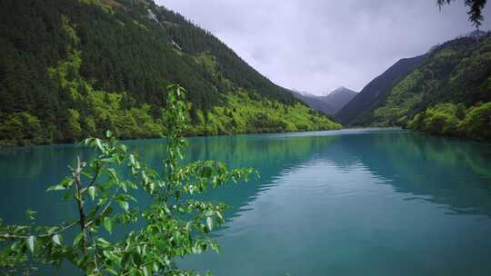 九寨沟春天的景色