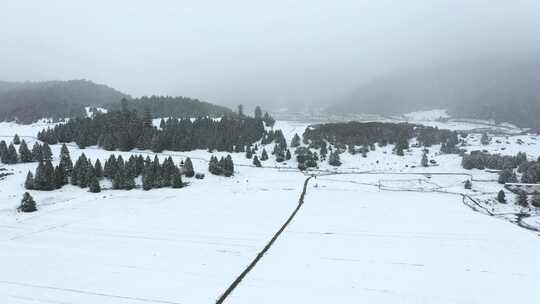 西藏林芝鲁朗林海雪原冬天乡村雪景风光航拍