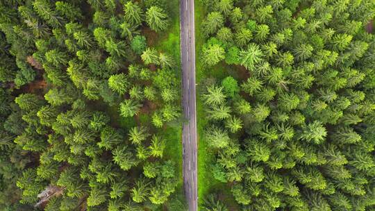 航拍森林中的道路视频素材模板下载