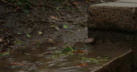 水流进下水道