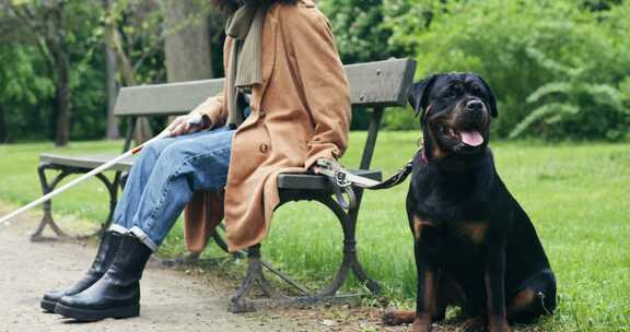 坐在罗威纳犬旁边的女人