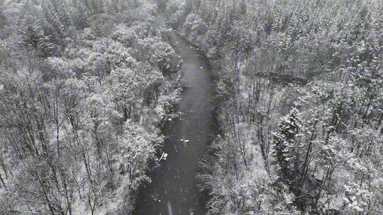 长白山下雪景河流航拍