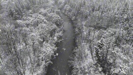长白山下雪景河流航拍视频素材模板下载