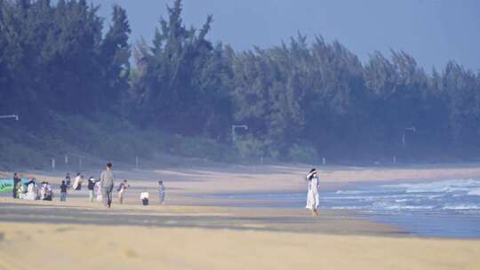 俯瞰热带海滨风光 沙滩椰林相伴