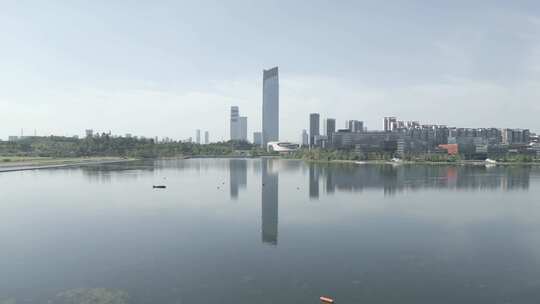 天府新区 兴隆湖  湖岸 湖面 湖滨城市视频素材模板下载