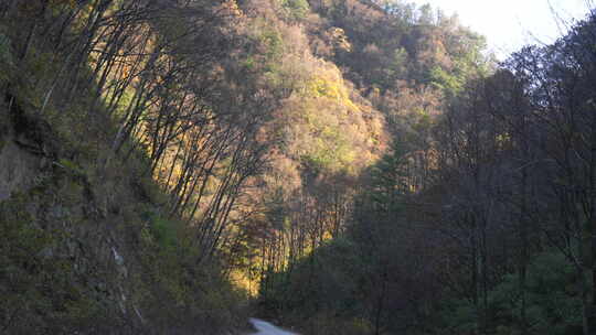 秦岭秋季风景