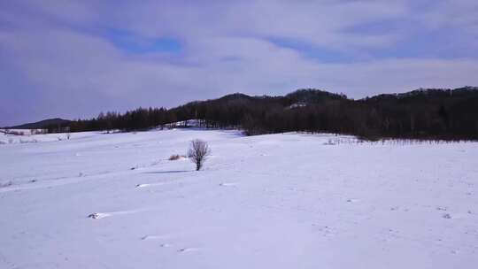 东北黑龙江漠河雪景航拍环绕