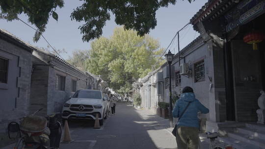 北京秋天街道 秋天胡同