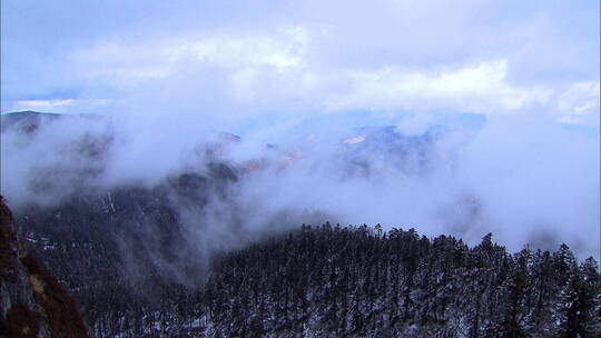 云南香格里拉白马雪山山林2视频素材模板下载