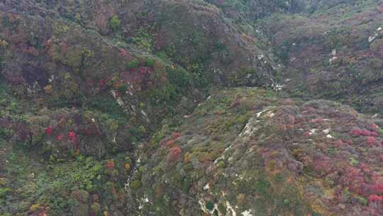 航拍秦岭山脉秋季风景云海