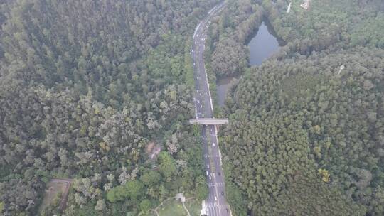 山地公路航拍