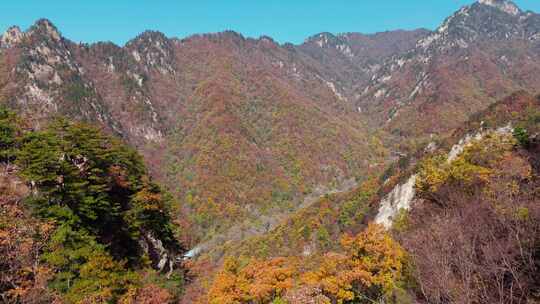 南阳老界岭秋景风光