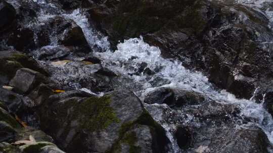 清澈的山间溪水 河流 溪流 溪水