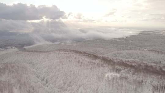 航拍冬天雪后森林