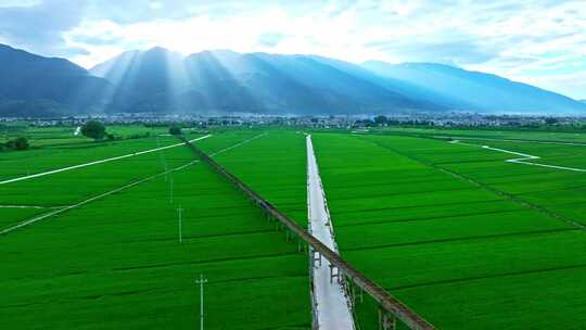 大理苍山耶稣光稻田景观