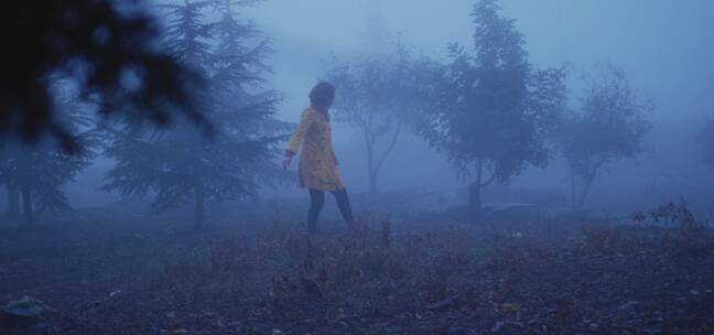 女人独自穿梭在雾气弥漫的森林