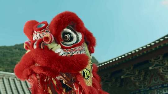广东岭南舞狮表演实拍视频