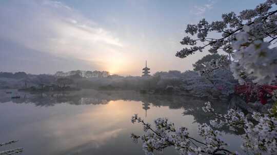 武汉樱花园日出风光