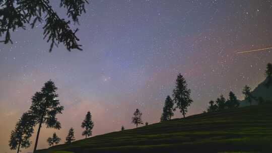 茶园树林星空延时视频素材模板下载