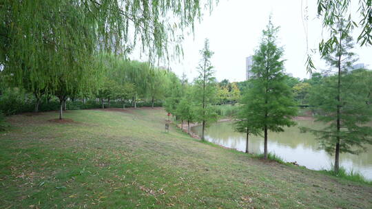 武汉江夏韵湖湿地公园风景