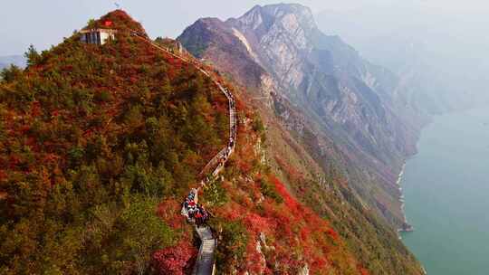 长江三峡巫峡红叶