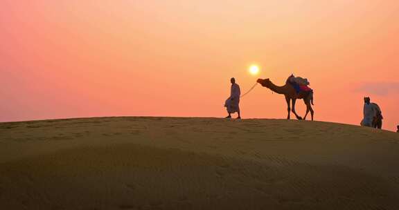 沙漠牵骆驼的人剪影【4K】