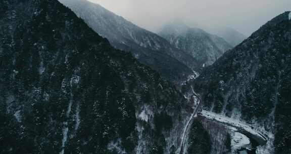 山，树，雪，路