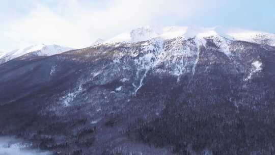 航拍新疆冬季喀纳斯河流晨雾雪山森林雪景