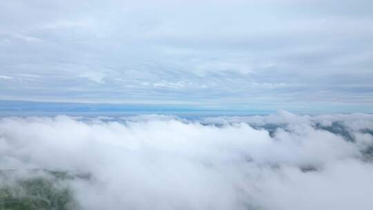 云海山脉天空森树林云雾风景山峰山区俯瞰