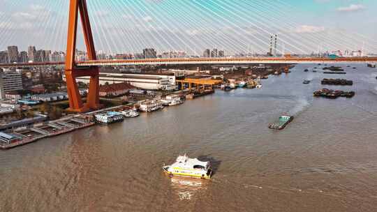 上海杨浦大桥绿之丘航拍
