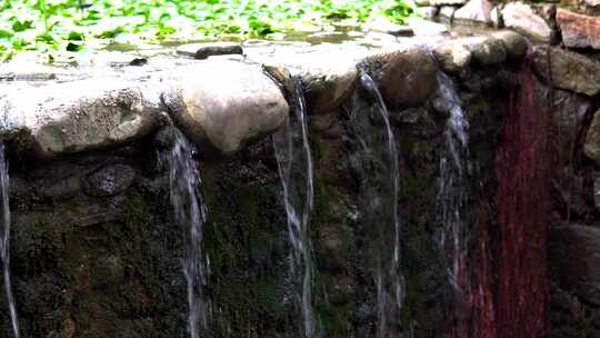 荷叶池塘瀑布水流