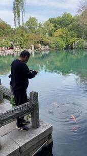 济南五龙潭景区，秋季树叶金黄观赏鱼