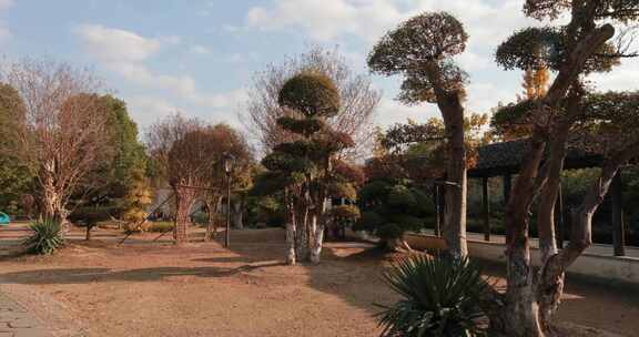 金秋时节 美丽的苏州大阳山森林公园