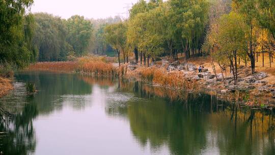 4K升格实拍北京秋天五彩缤纷油画般的河岸