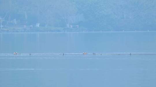 雾西湖风景