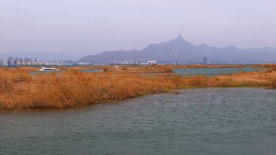 内蒙古乌海沙漠芦苇山峰远景湖泊