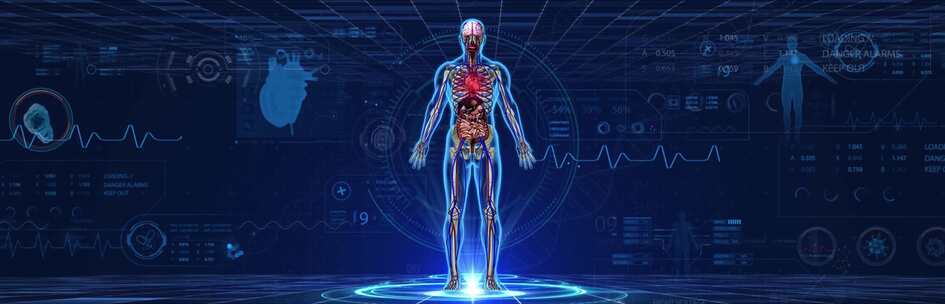 全息科技医学人体数字医疗 药物治疗无字版