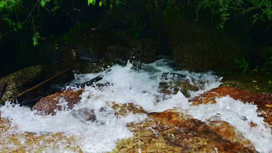 清澈纯净小溪流水泉水小河流域