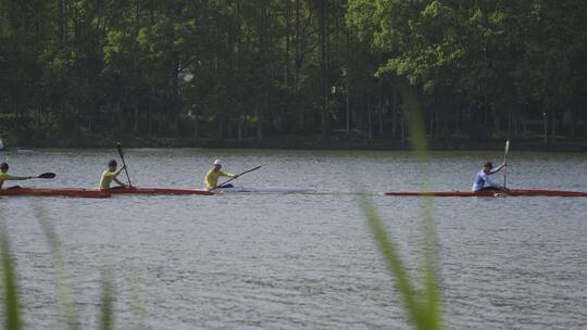 杭州西湖风景实拍