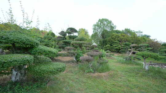 武汉江夏区藏龙岛国家湿地公园