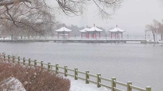 长春 南湖公园 下雪 松树 雪景 湖景 游人