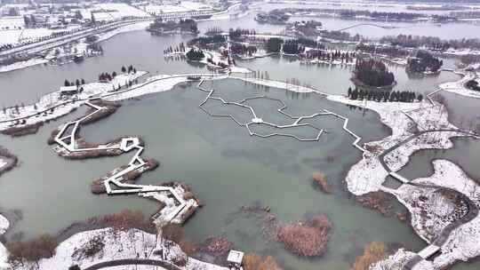 航拍湿地公园雪景树林湖岛木屋鸟类杉树木