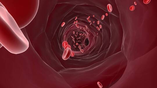 人体血管中血液循环的红血球3D动画