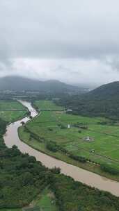 雨雾中的山林田园