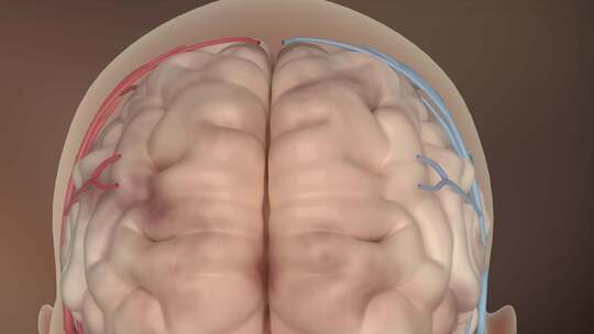 细胞基因 生物医学 研发 血液血管视频素材模板下载