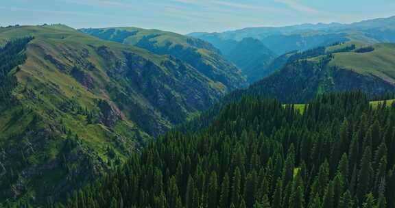 绿色的高山峡谷