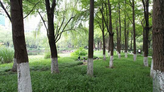 杭州江干区世纪花园公园航拍