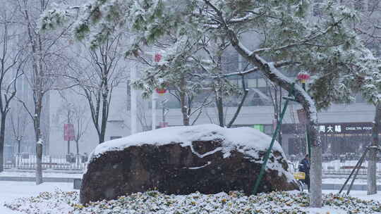 武汉江汉区菱角湖公园雪景